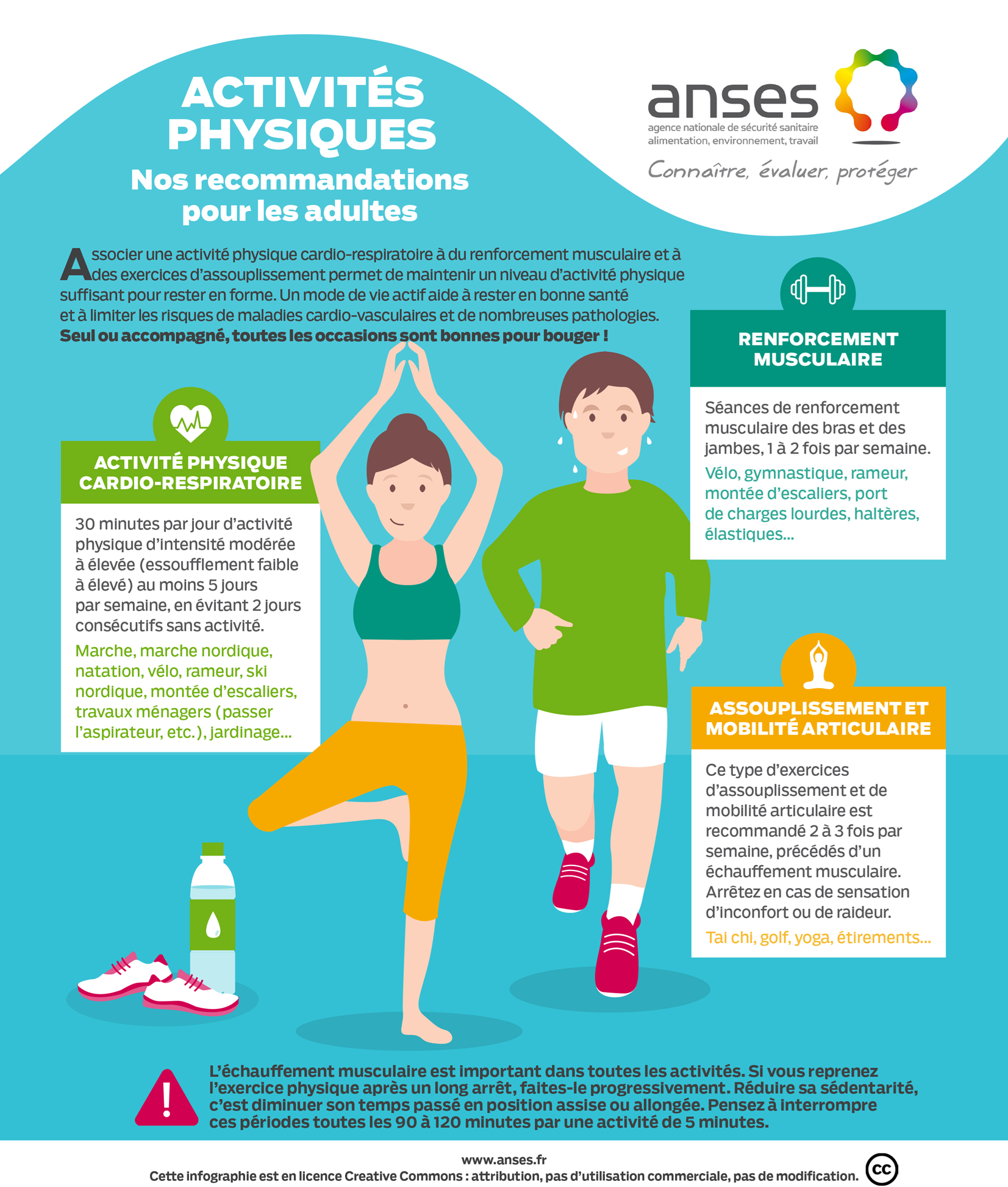 Illustration flyer Recommandations d'activité physique pour les adultes