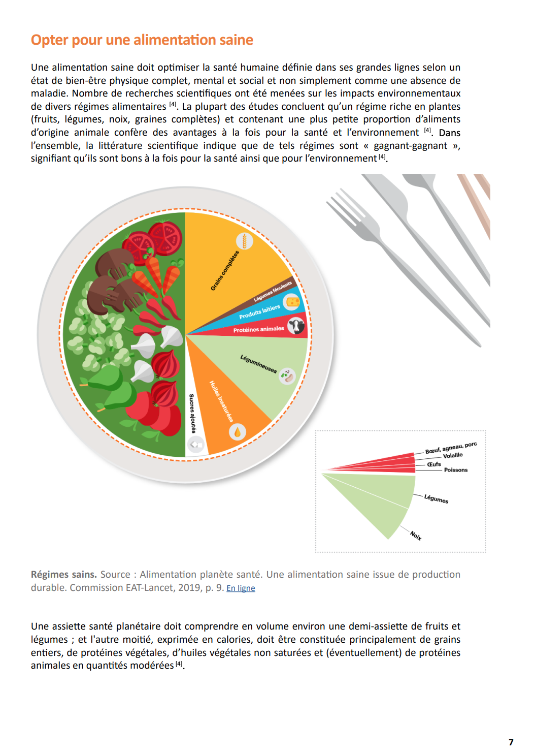 Illustration flyer Alimentation durable